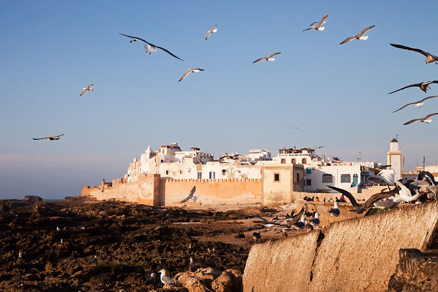  Flight show above Essaouira   Morocco